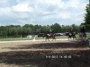 dressage horse Painted Black (unknown,  )