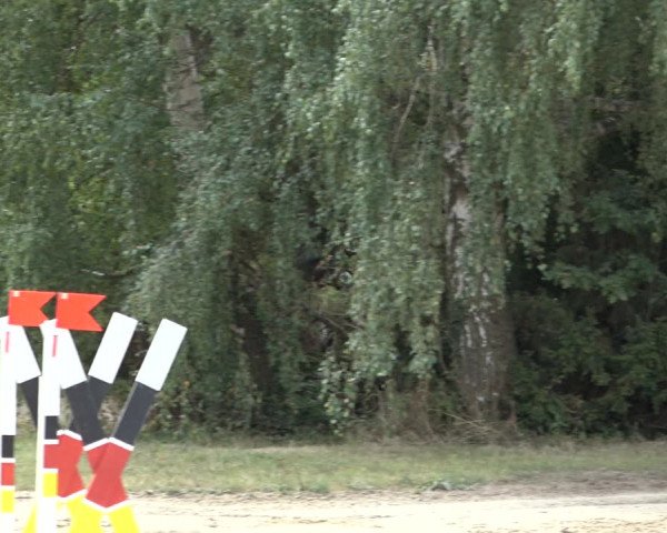 Reitturnier Volkmarode 2022
