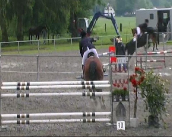 broodmare Cecile 16 (Oldenburg show jumper, 2005, from Chapot)