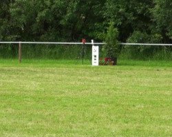 dressage horse Bacardi Giovanna (unknown, 2003)