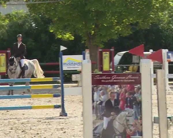 Reitturnier Rot am See- Musdorf 2022
