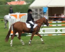 Springpferd Varios little Lady (Deutsches Reitpony, 2006, von Vario)