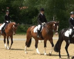 dressage horse Anemao (Westphalian, 1988, from Artwig)