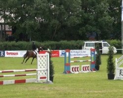 jumper Pierre-Luigi (German Riding Pony, 2003, from FS Pour l'Amour)