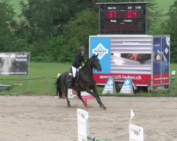 Reitturnier Gossau 2022