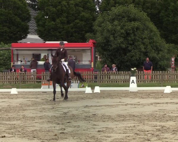 Reitturnier Schülp / Rendsburg 2022