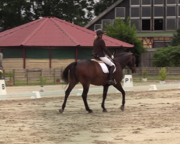 Reitturnier Schülp / Rendsburg 2022
