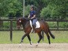 broodmare Dieda 6 (Hanoverian, 2009, from Diarado)