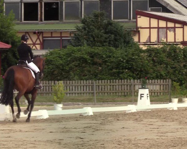 Reitturnier Schülp / Rendsburg 2022