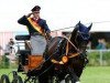 dressage horse Sir Lausitz (German Sport Horse, 2006, from Samba Ole)