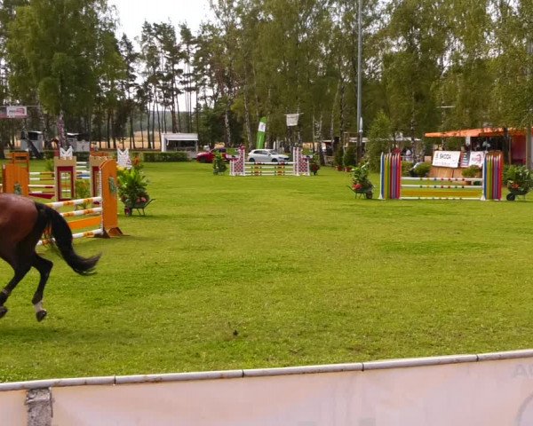 Reitturnier Etingen 2022