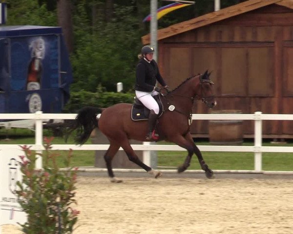 Reitturnier Ladelunder Springtage 2022