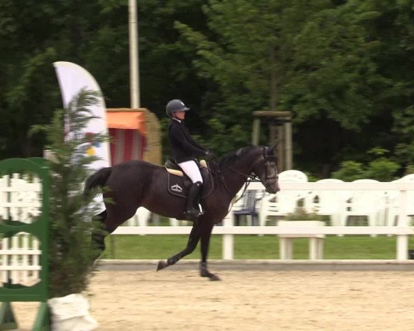 Reitturnier Ladelunder Springtage 2022