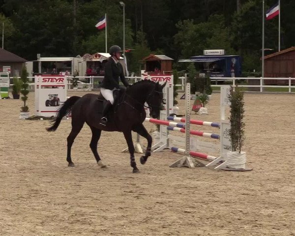Reitturnier Ladelunder Springtage 2022