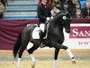 stallion Quadroneur (German Sport Horse, 2007, from Quaterback)