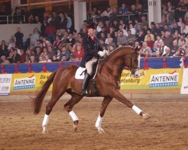 dressage horse Quaterman I (Brandenburg, 1999, from Quando-Quando)