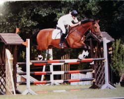 horse Rocket Haack (Hanoverian, 1991, from Ritual)