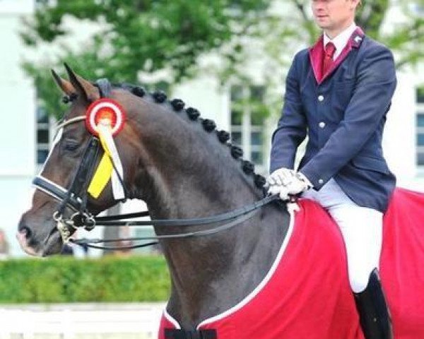 dressage horse Lord Fantastic (Rhinelander, 2004, from Lord Loxley I)