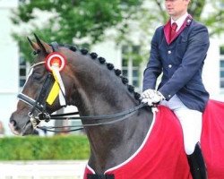 dressage horse Lord Fantastic (Rhinelander, 2004, from Lord Loxley I)