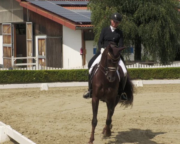 Reitturnier Neu-Anspach 2022