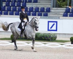 jumper Wega 326 (Swedish Warmblood, 2001, from Irco Mena)