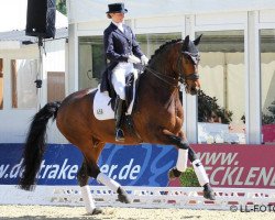 dressage horse Satchmo H 3 (Hanoverian, 2001, from Sandro Hit)