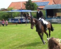 jumper Luxor 128 (Bavarian, 2003, from Luberon)