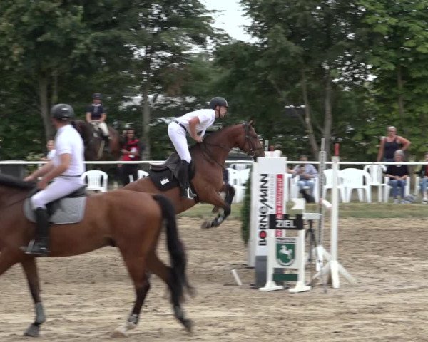 Reitturnier Volkmarode 2022