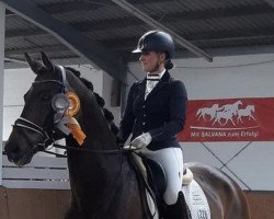 dressage horse Milagro 16 (Oldenburg, 2016, from Morricone)