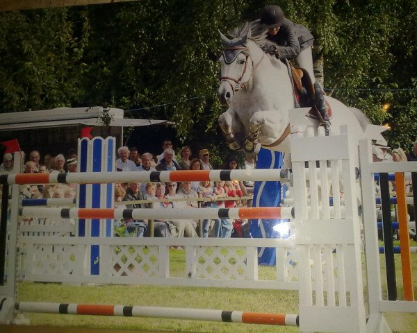 jumper Conner Mc Loud (Hanoverian, 1997, from Calido I)