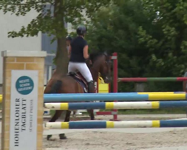 Reitturnier Rot am See- Musdorf 2022