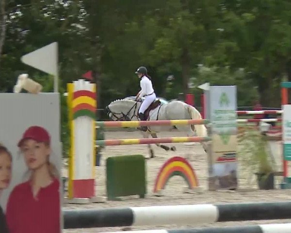Reitturnier Rot am See- Musdorf 2022