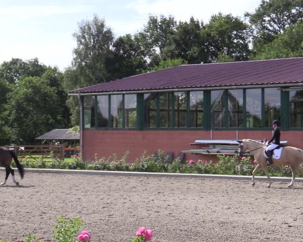 Reitturnier Schwanewede  2022