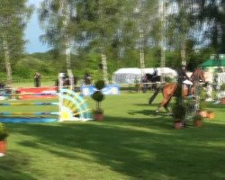 jumper Carlson T 2 (Oldenburg show jumper, 2006, from Colander)