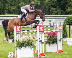 stallion Valentino Massuere (Selle Français, 2009, from Canturo)