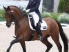 dressage horse Sancette (Hanoverian, 2001, from Sandro Hit)