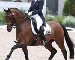 dressage horse Sancette (Hanoverian, 2001, from Sandro Hit)