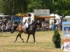 dressage horse Reggae Utopia (KWPN (Royal Dutch Sporthorse), 1998, from Darlington)