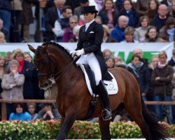 dressage horse Sandro Boy 9 (Oldenburg, 2001, from Sandro Hit)