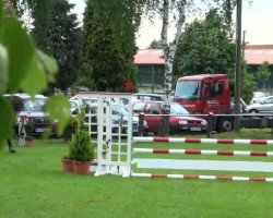 dressage horse Quarido (Oldenburg, 2006, from Quattro B)