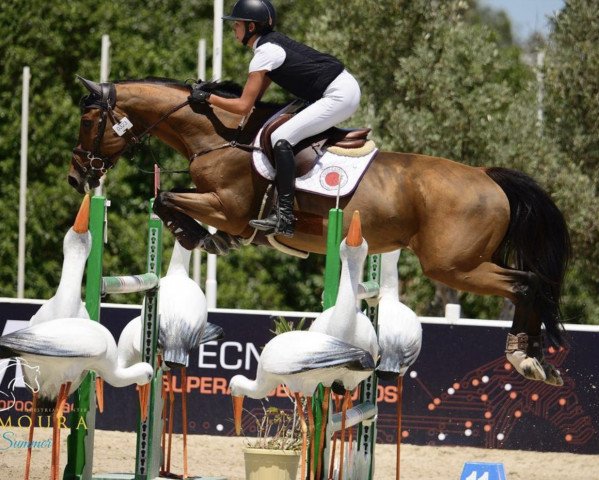 Springpferd Princesse de V (Spanisches Sportpferd, 2010, von Diamant de Semilly)