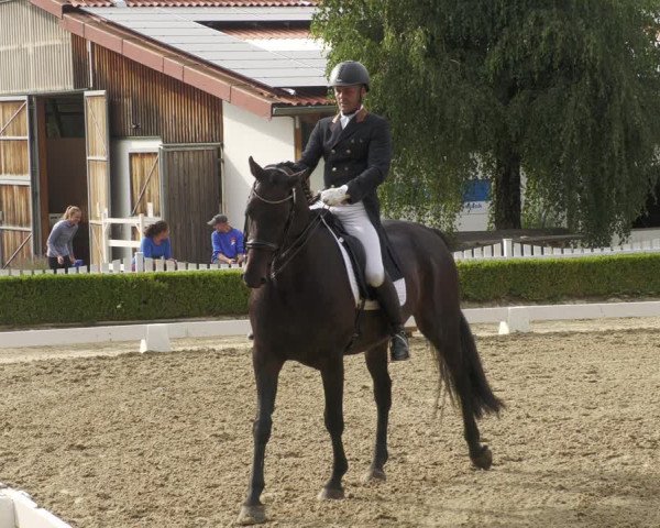 Reitturnier Neu-Anspach 2022