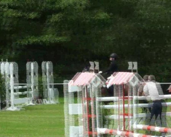 dressage horse Rosella 48 (Westphalian, 2002, from Rockwell)