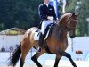 dressage horse Real Dancer FRH (Hanoverian, 2004, from Rubin Royal OLD)