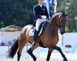 dressage horse Real Dancer FRH (Hanoverian, 2004, from Rubin Royal OLD)