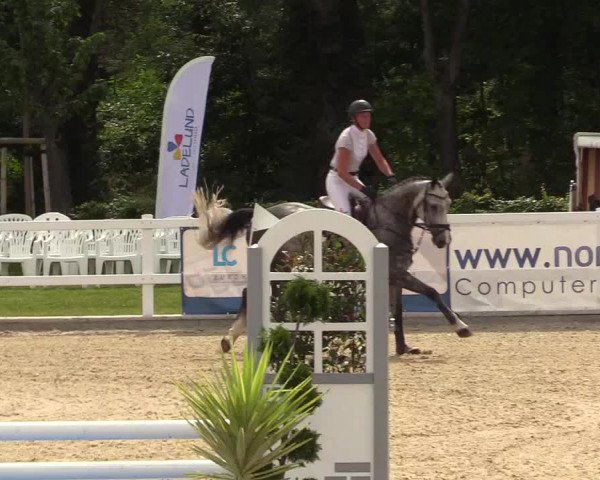 Reitturnier Ladelunder Springtage 2022