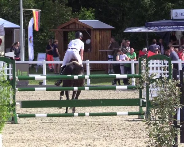 Reitturnier Ladelunder Springtage 2022