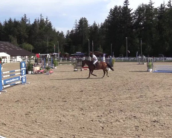 Reitturnier Ladelunder Springtage 2022