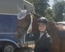 jumper Tavita S (Oldenburg show jumper, 2016, from Tangelo van de Zuuthoeve)