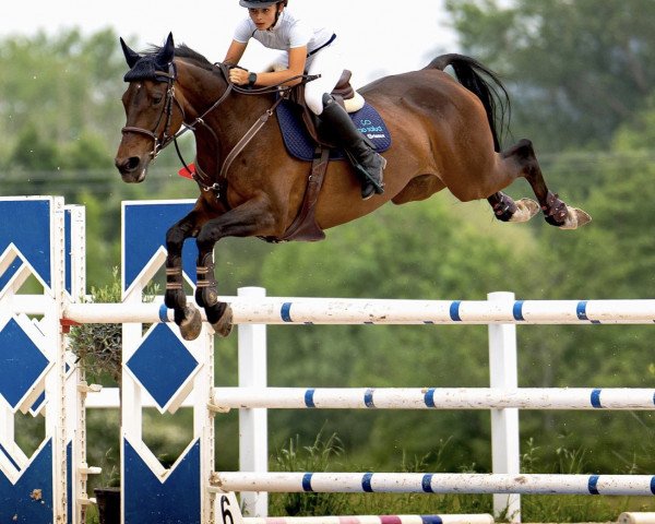 jumper Carette (Spanish Sport Horse, 2012, from Carione)